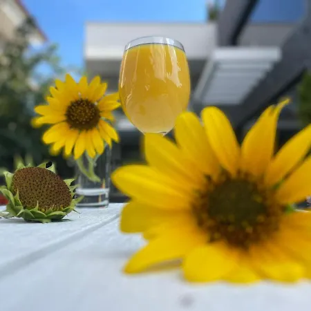 Luxsuites Lägenhetshotell 4*